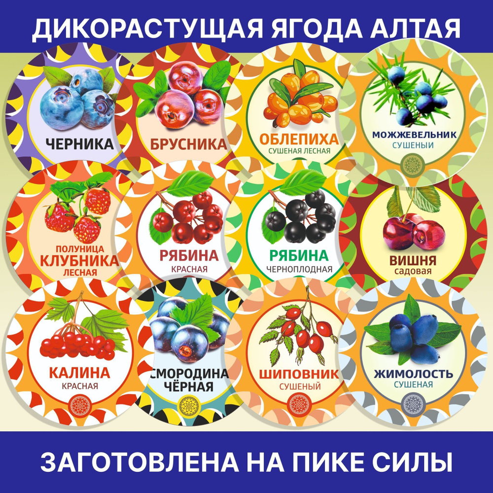 Василек пучок, 1 шт. ВАПЧ-00-001
