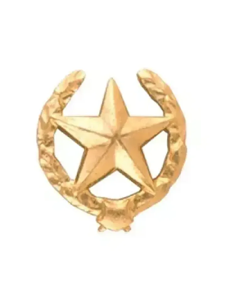 Эмблема петличная Сухопутные старого образца металл золото