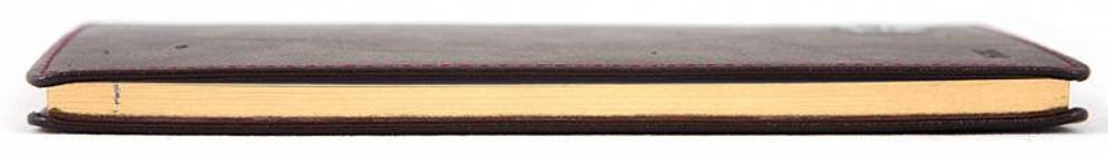 Еженедельник Letts Global Deluxe A6 золотой срез (412 127343)