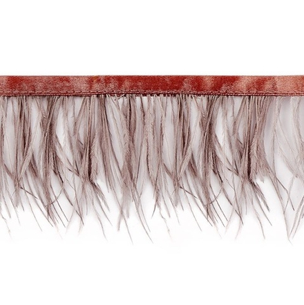 Кант Перо страуса шир.11см пудровый (темный кант)/col.71