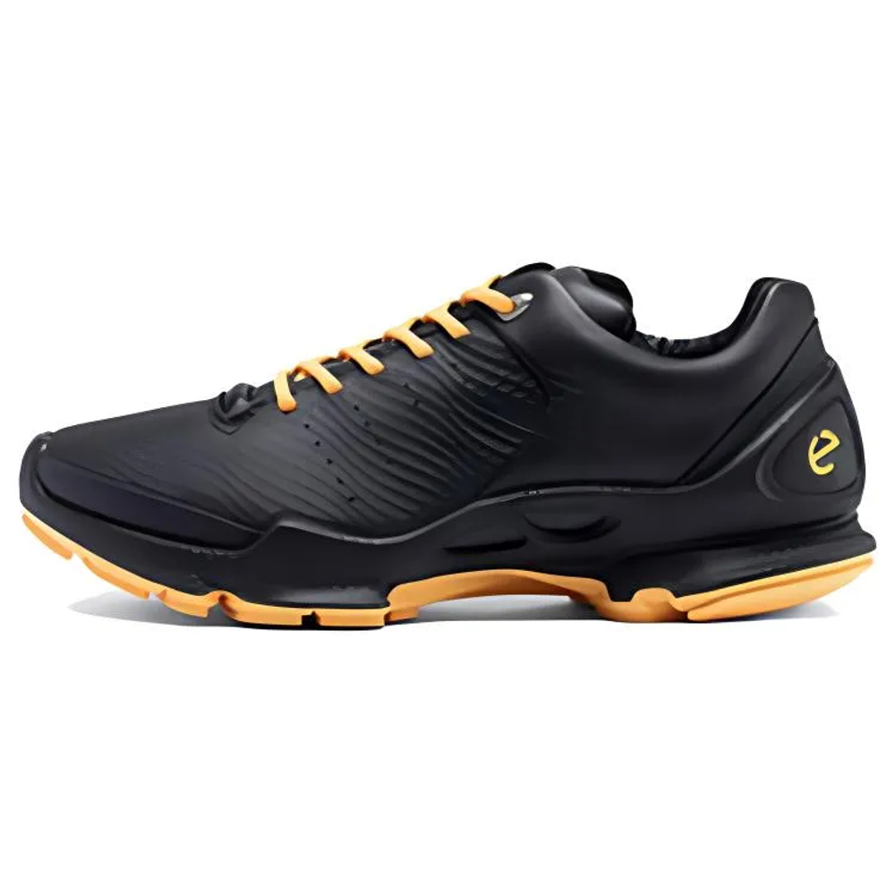Ecco Biom C