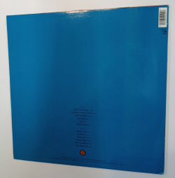 Винтажная виниловая пластинка LP Camouflage Meanwhile (Germany 1991)