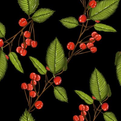 Вишни на черном фоне