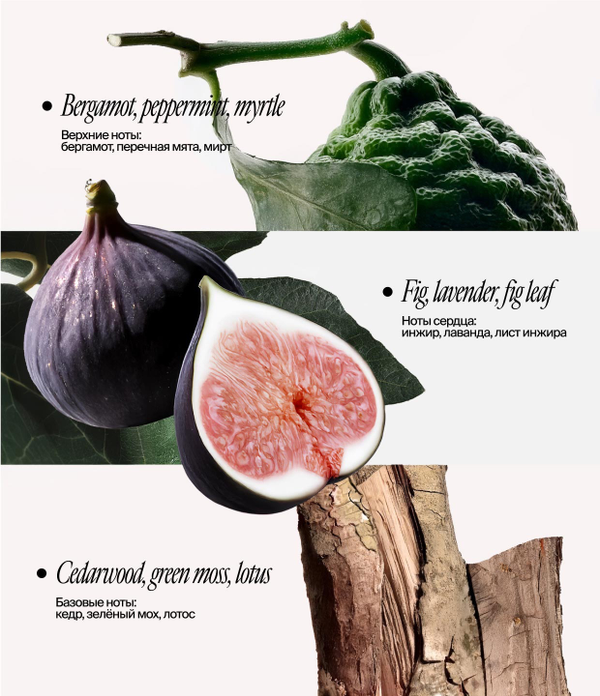 Гель для душа с адаптогенами и магнием 250 ml (Smorodina)