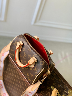 Louis Vuitton Speedy 20