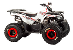 Квадроцикл Motoland VOX125 WILD A белый