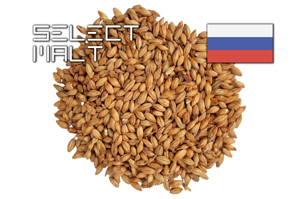 VIENNA (SELECT MALT)