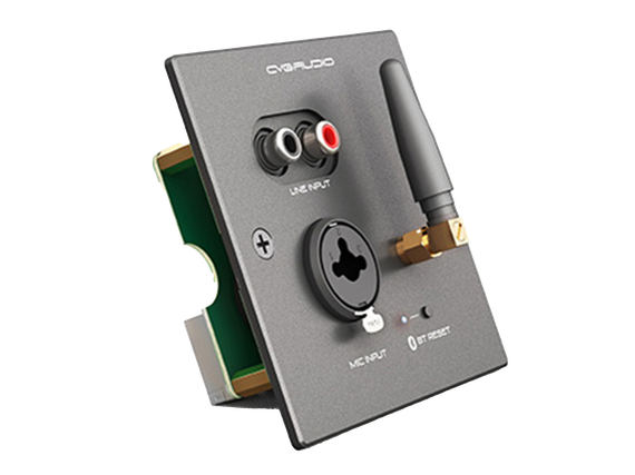 CVGAUDIO PW/EX-IN/BL универсальная настенная панель для удаленного подключения балансного микрофона MIC IN