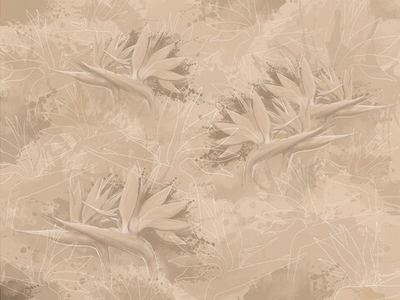 Дизайнерские обои Wall Street Birdly