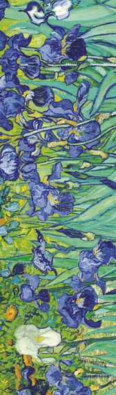 Əlfəcin Van Gogh 5