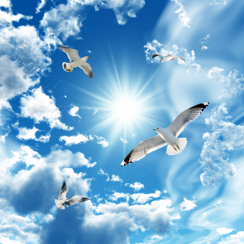 Небо №16 Фотообои и Фрески ручной работы