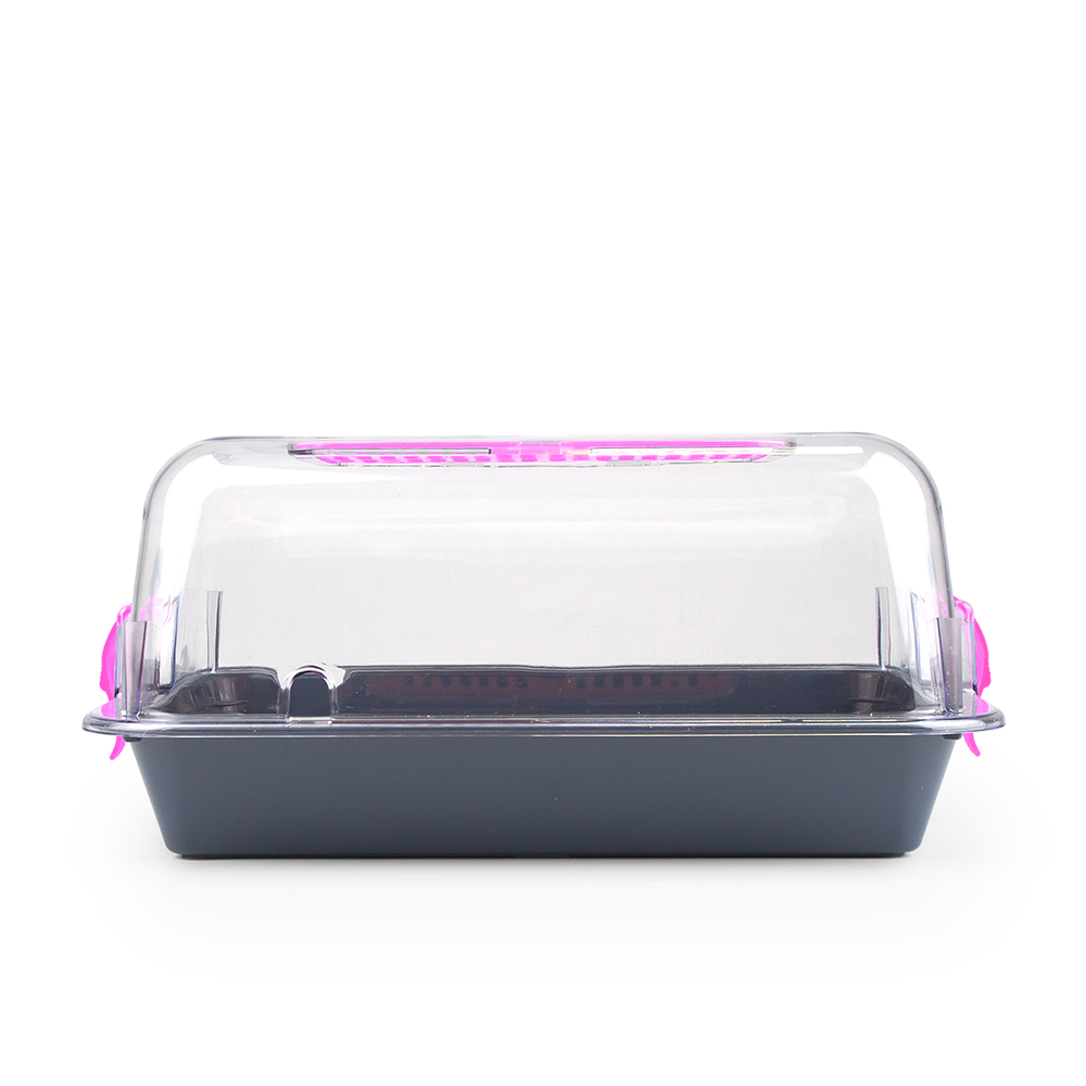 Террариум ZOOSET прозрачный серый/сиреневый - S (33х24х15 см)