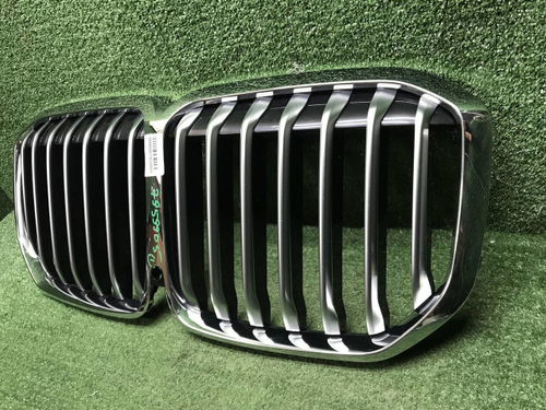 Решетка радиатора BMW X7 G07 (2019-2022)
