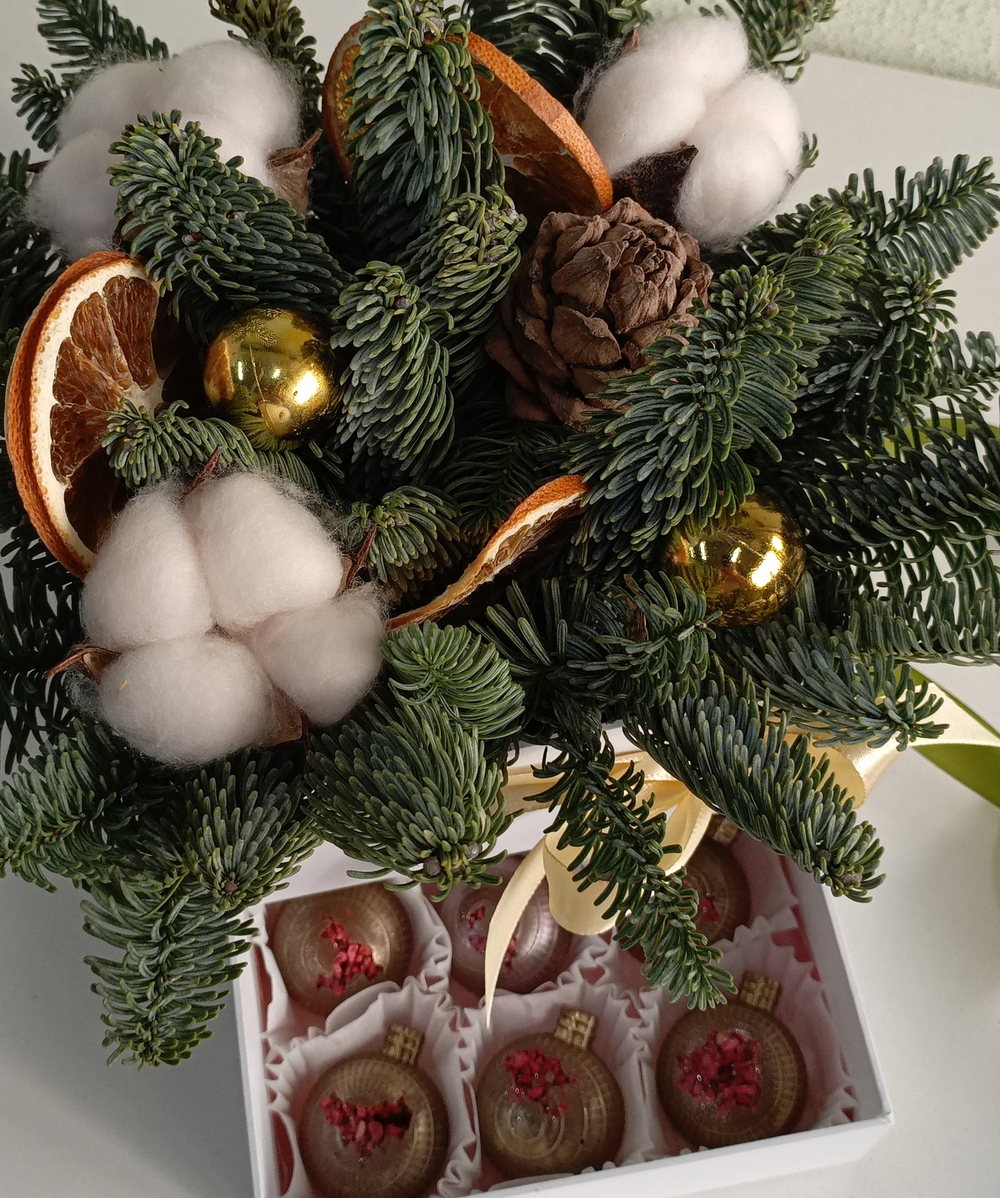 Шкатулка новогодняя  с нобилисом