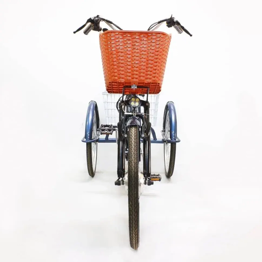 Электровелосипед Green Camel Трайк-24