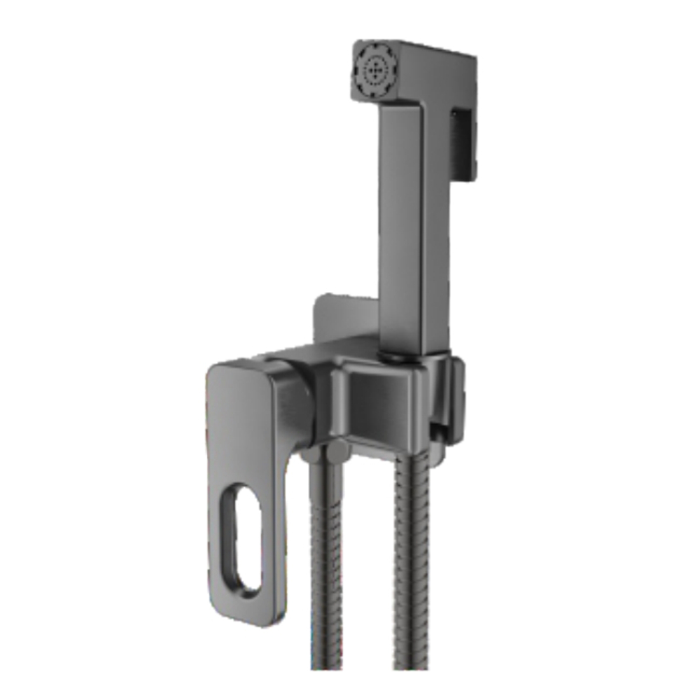 Гигиенический душ со смесителем встраиваемый Raglo R51.52.09, графит