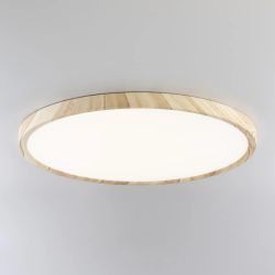 Citilux БейсикCL738322V LED Светильник накладной Клён