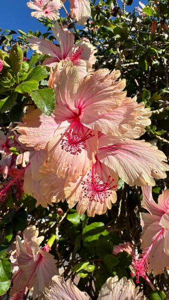 С наступающим!