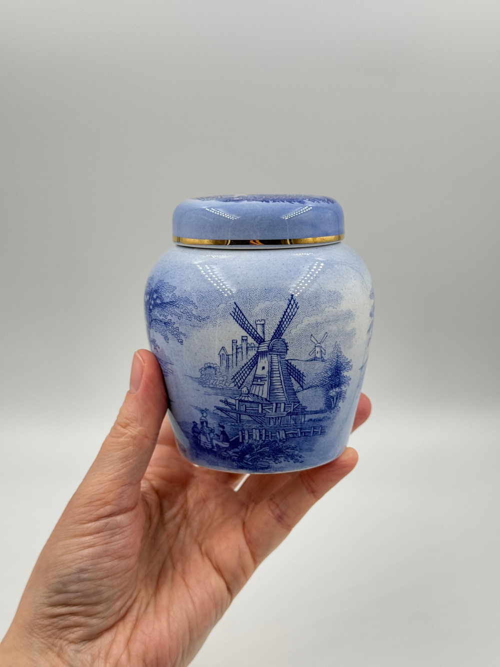 Имбирная банка Royal Worcester Palissy