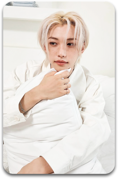 Карта / STRAY KIDS #1175