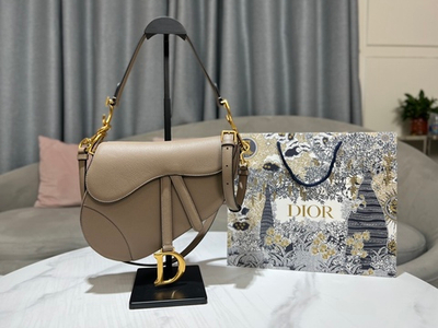 Christian Dior Saddle 25 cm