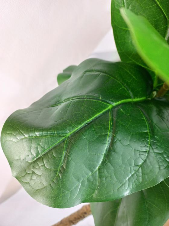 Искусственное растение разборное Фикус Лирата 180см в кашпо