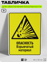 Табличка для обеспечения безопасности "Опасность взрывчатый материал", для производства, предприятия, организаций, 40х30 см, Silver Plane x Айдентика Технолоджи