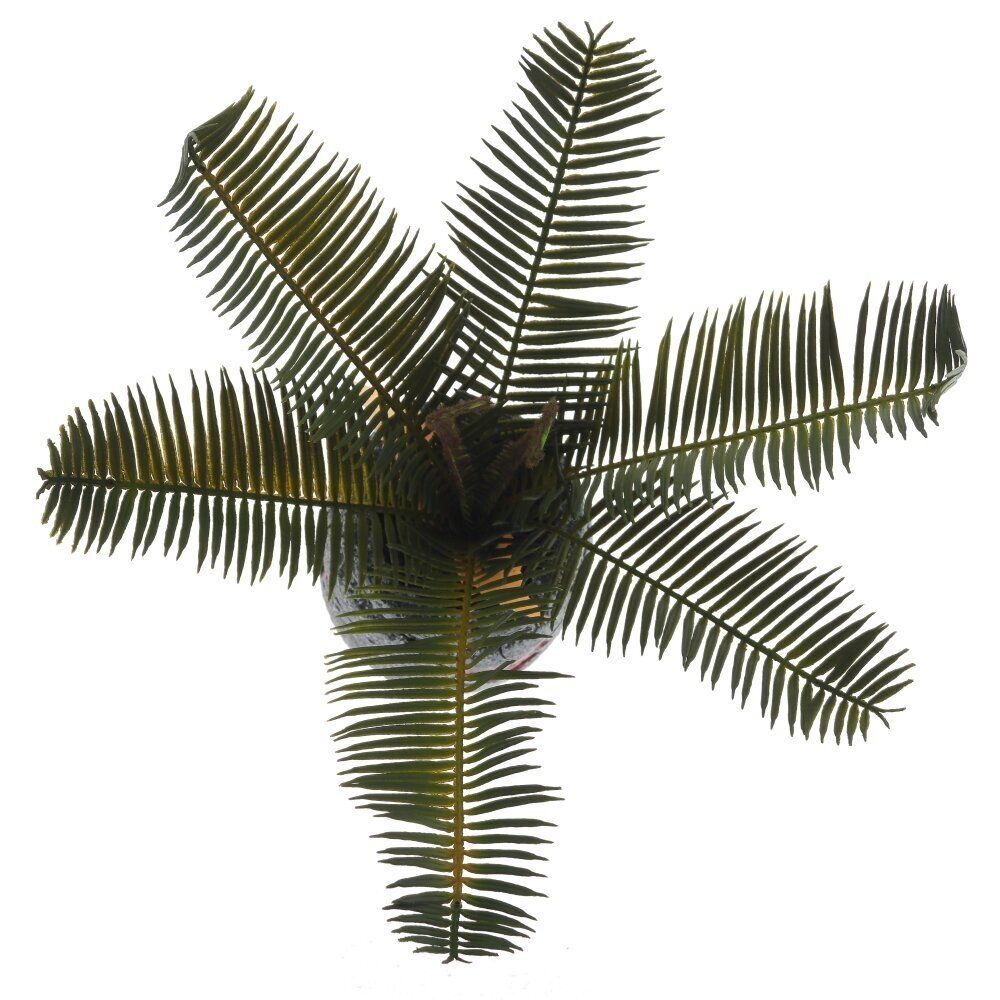 GAEM Цветочная композиция "Пальма", L27 W23 H34 см, 3в.