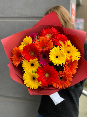 Букет из 15 гербер в пленке