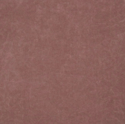 Микровелюр Бэст 09