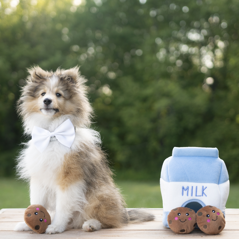 Развивающая игрушка Zippy Burrow Молоко и печенье ZippyPaws