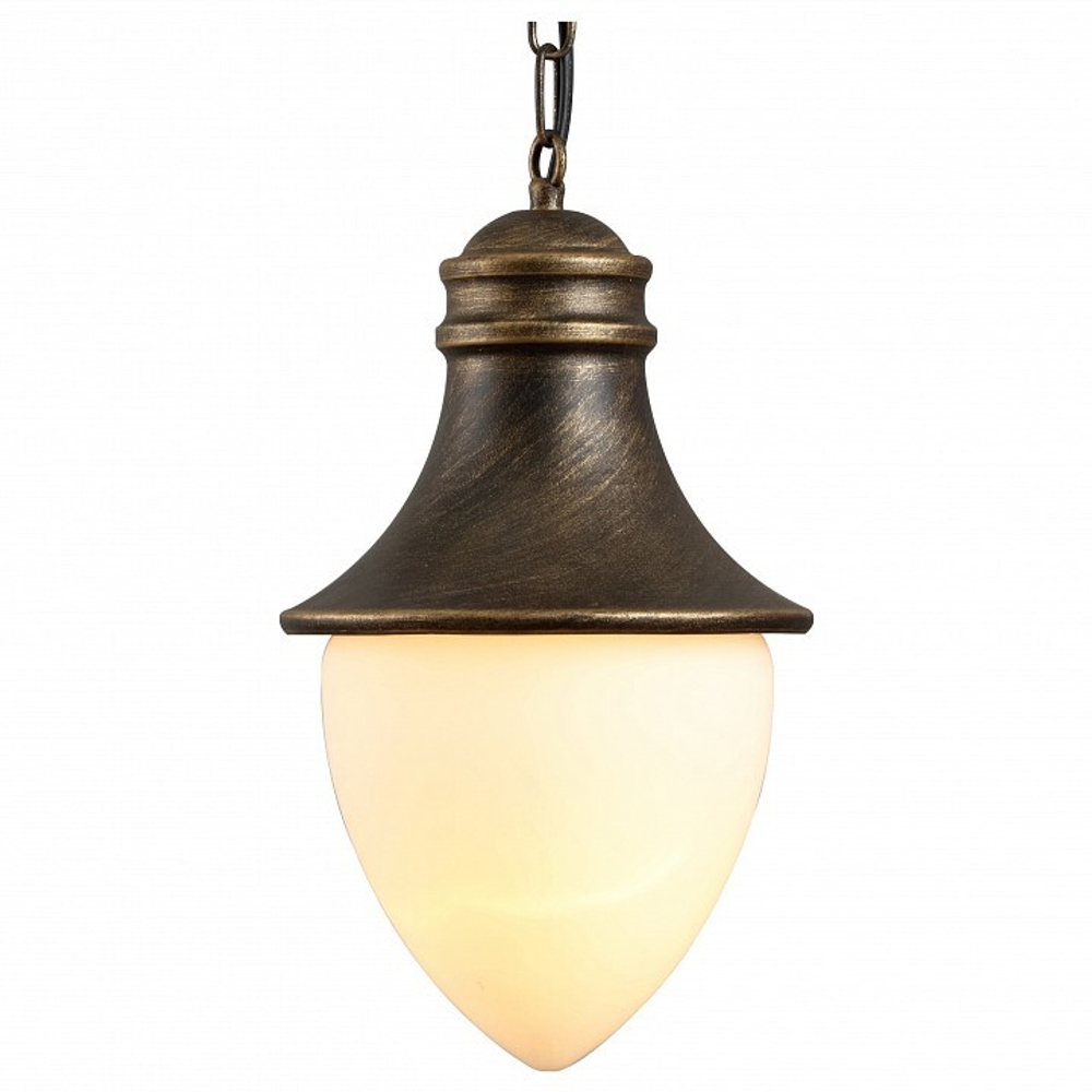 Уличный подвесной светильник Arte Lamp A1317SO-1BN