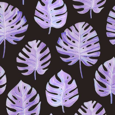 Фиолетовые неоновые листья монстеры