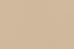 Велюр Prince / Принц