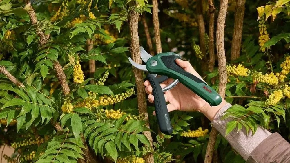 Секатор Bosch EasyPrune 06008B2100