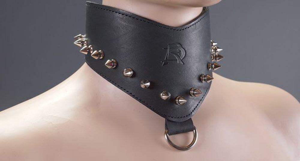 Чёрный кожаный ошейник-птичка с шипами (Цвет: черный)