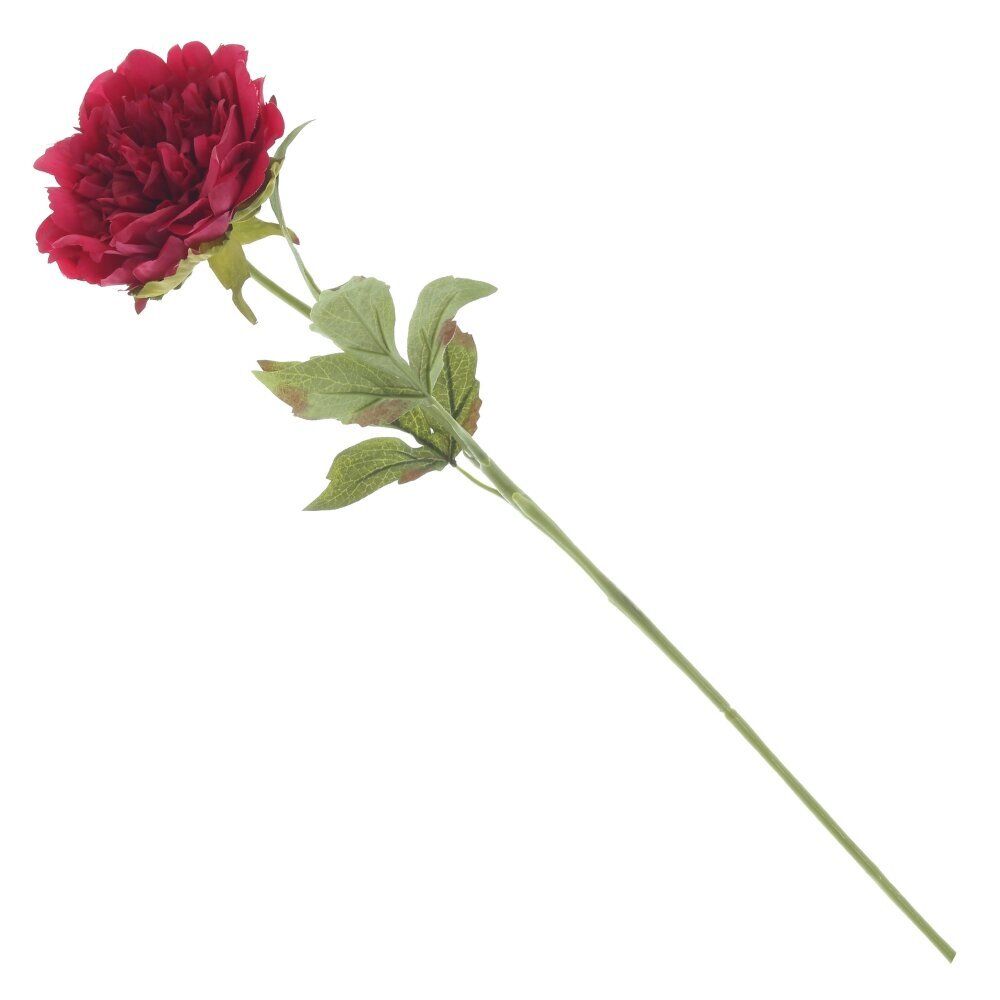 GAEM Цветок искусственный "Пион" (Real Touch), L12 W12 H56 см