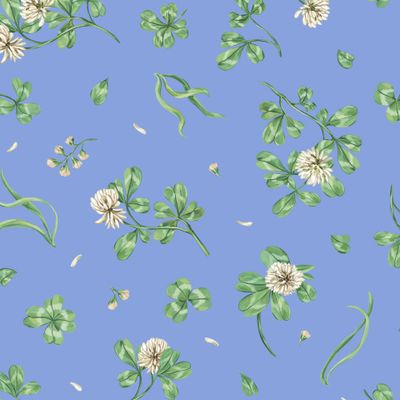 Луговой клевер на небесно-синем фоне