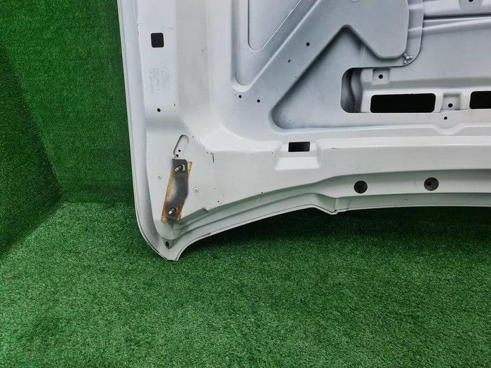 Капот Ford F-150 8 (2014-2020)