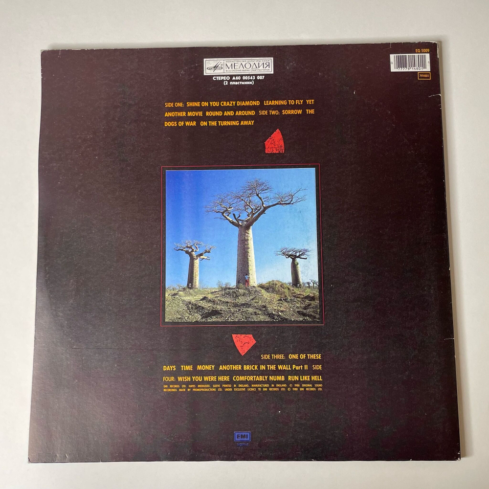 Винтажная виниловая пластинка LP Pink Floyd Delicate Sound Of Thunder (СССР 1990) Another Brick In The Wall