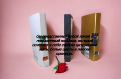 Парфюмерная вода унисекс СвеТLана Mr. Newl C&M019-00 1мл