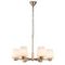 Подвесная люстра Indigo Tulip 13004/6P Gold V000001