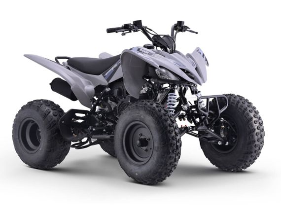 Квадроцикл SHARMAX Raizer Race Cup 250