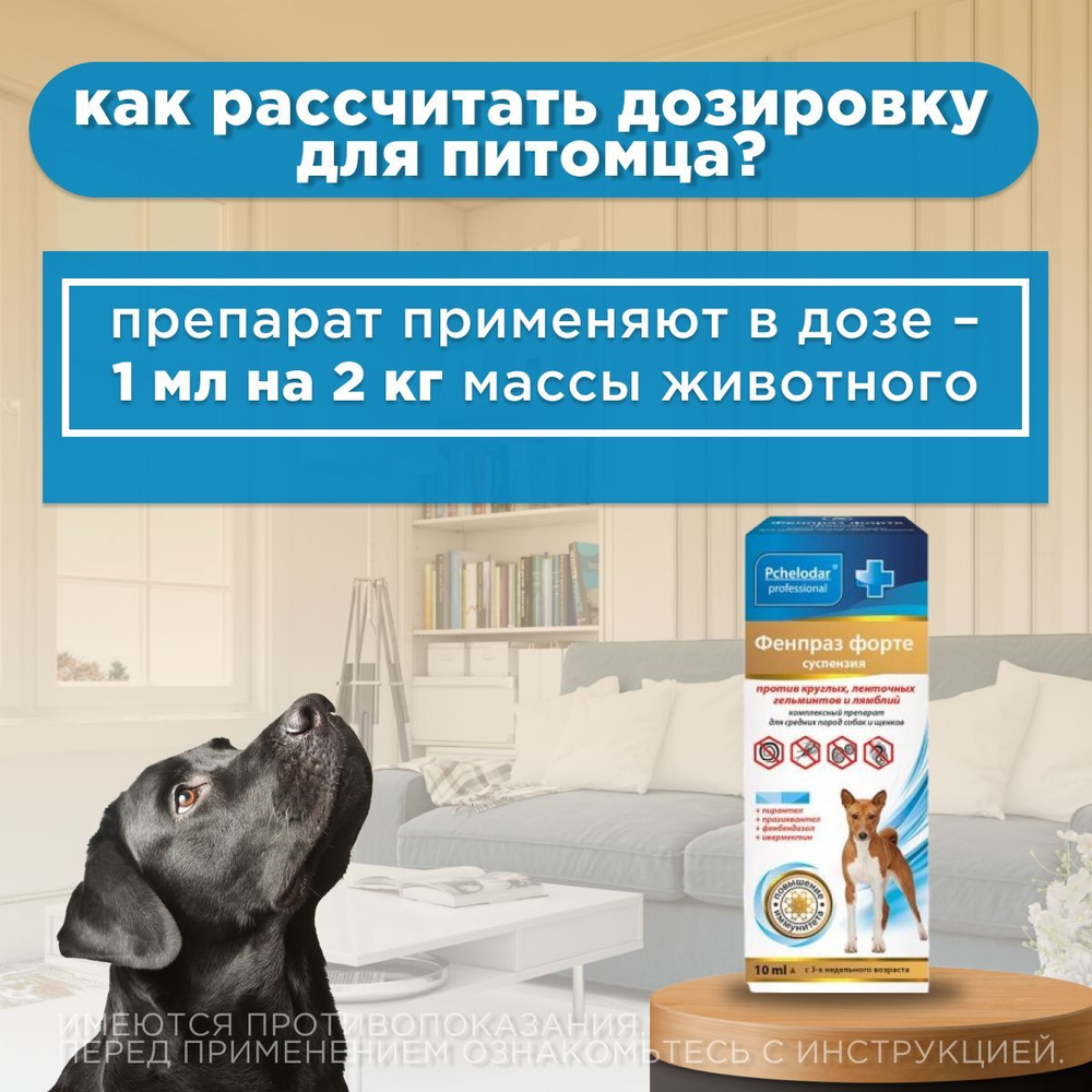 Суспензия от гельминтов и лямблий, профилактика дирофиляриоза для собак средних пород Фенпраз Форте,10мл
