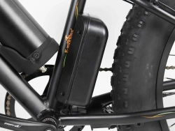 Электрофэтбайк E-motions Challenger Fat Premium