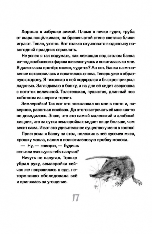 Иду по тайге