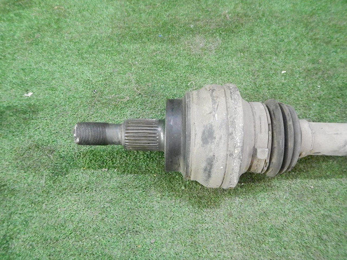 DSCN3307.JPG