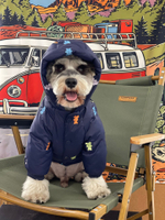 Комбинезон для собак унисекс Медведь