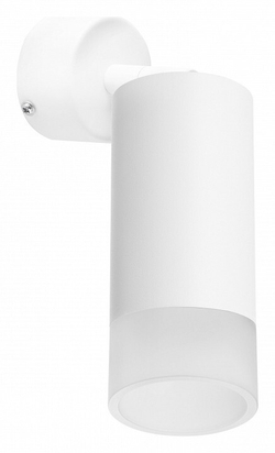 Спот Lightstar RB43631