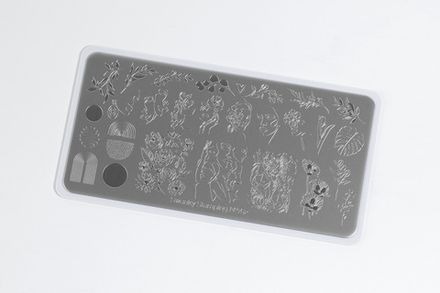 Swanky Stamping Пластина для стемпинга 162